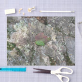 Herfst Leaf on Rock Tissuepapier (Craft)