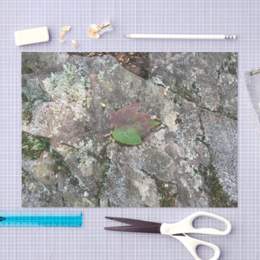 Herfst Leaf on Rock Tissuepapier (Craft)