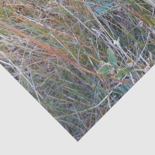 Herfst Leaf-papier Tissuepapier (Detail)