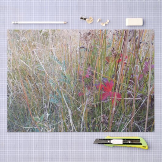 Herfst Leaf-papier Tissuepapier (Craft)