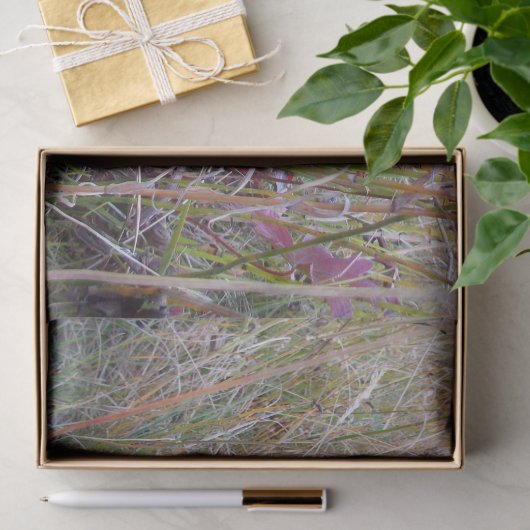 Herfst Leaf-papier Tissuepapier (Geschenk)