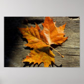Herfst Leaf Poster (Voorkant)