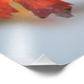 Herfst Leaf sluit de Fotouitbreiding af Foto Afdruk (Hoek)