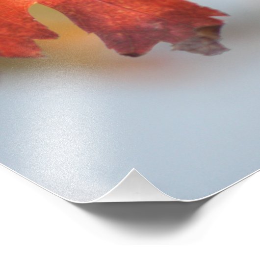 Herfst Leaf sluit de Fotouitbreiding af Foto Afdruk (Hoek)