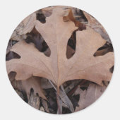 Herfst Leaf Sticker (Voorkant)