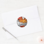 Herfst Leaf Stickers (Envelop)
