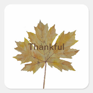 Herfst leaf thankful waterverf Sticker