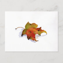 Herfst Leaf Waterverf Briefkaart