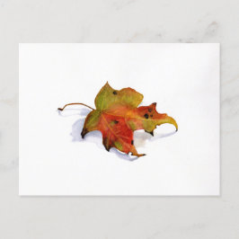 Herfst Leaf Waterverf Briefkaart