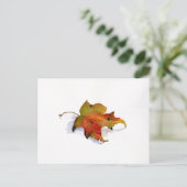 Herfst Leaf Waterverf Briefkaart (Staand voorkant)