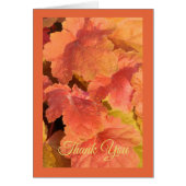 Herfst Leaf Wenskaart (Voorkant)