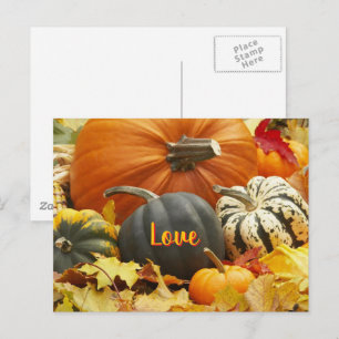 Herfst liefde herfstfoto laat pompoenen achter briefkaart