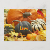 Herfst liefde herfstfoto laat pompoenen achter briefkaart (Voorkant)