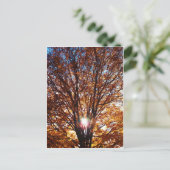 Herfst Light Briefkaart (Staand voorkant)