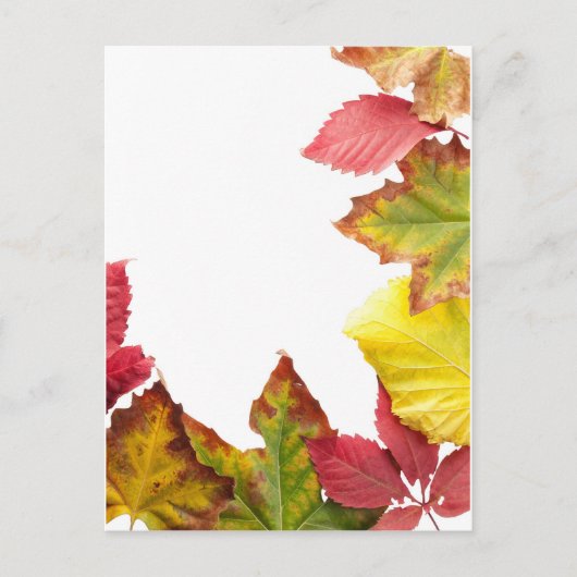 Herfst lijst briefkaart (Voorkant)