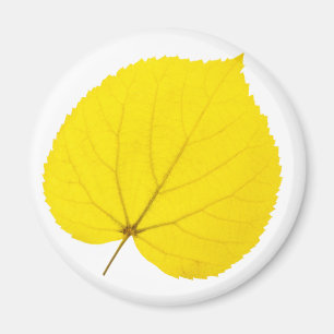 Herfst linden blad magneet