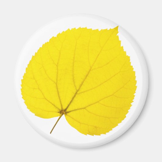 Herfst linden blad magneet (Voorkant)