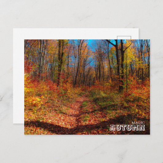 Herfst Magic Forest Briefkaart (Voorkant / Achterkant)