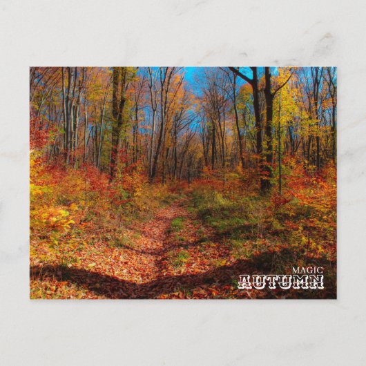 Herfst Magic Forest Briefkaart (Voorkant)