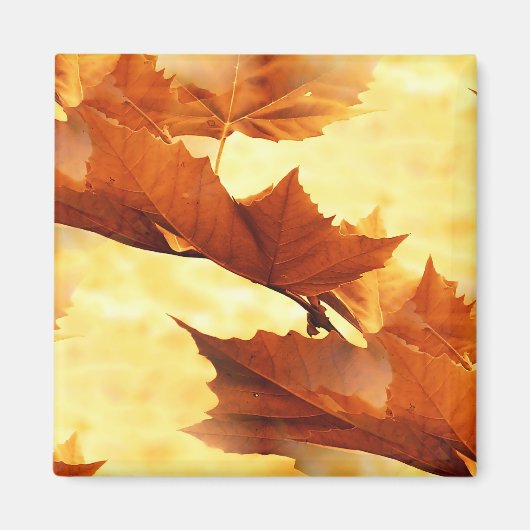 Herfst Magneet (Voorkant)