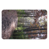 Herfst Magneet (Horizontaal)