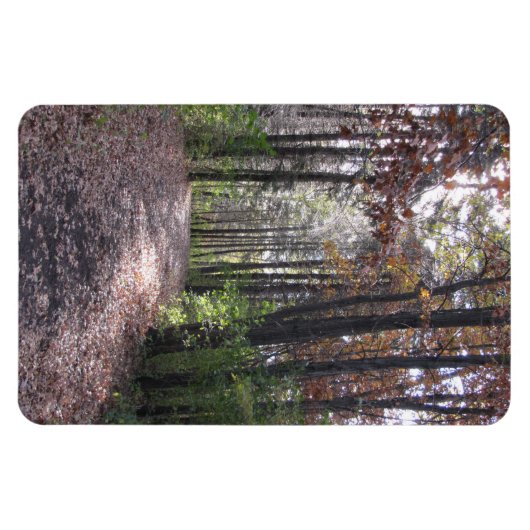 Herfst Magneet (Horizontaal)