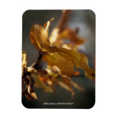 herfst magneet (Verticaal)