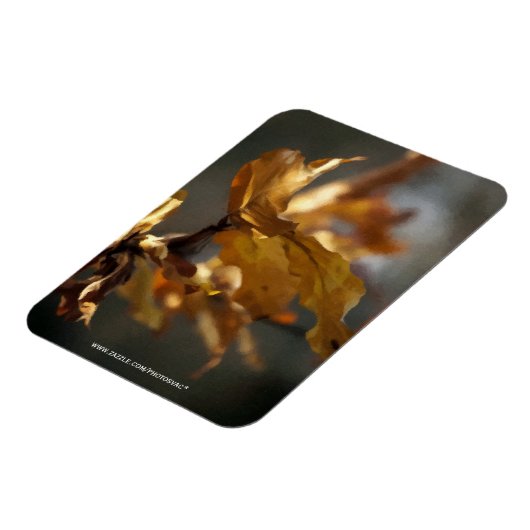 herfst magneet (Linkerzijde)