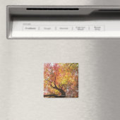 herfst magneet (Insitu (Vaatwasser))