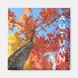 Herfst magneet cadeaus Herfst Boom Bladeren Blauwe