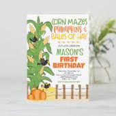 Herfst Maisdoolhof Pompoen Jongen Verjaardag Kaart (Staand voorkant)