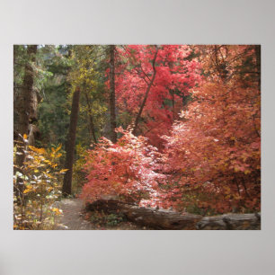 Herfst Majesteit (3) Poster