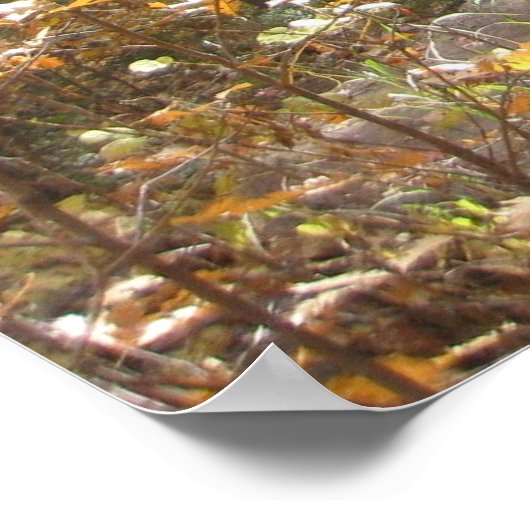 Herfst Majesteit (3) Poster (Hoek)