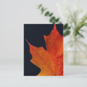 Herfst Maple blad op zwarte achtergrond Briefkaart (Staand voorkant)