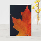Herfst Maple blad op zwarte achtergrond Kaart (Gele Bloem)