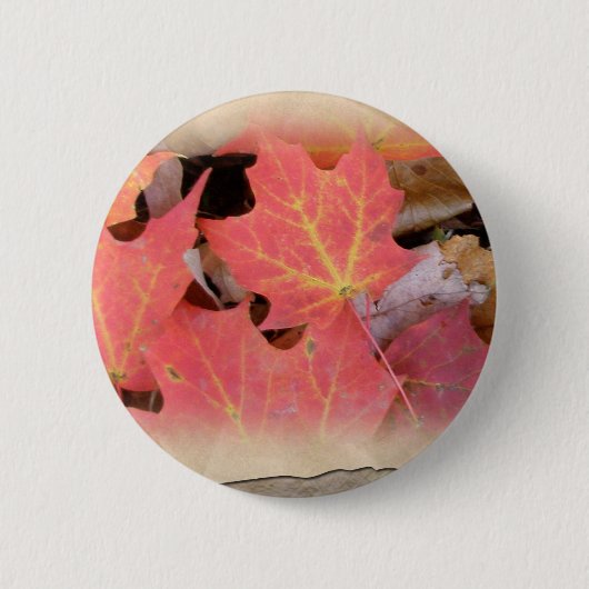 Herfst Maple laat coördinerende items over Ronde Button 5,7 Cm (Voorkant)