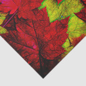 Herfst Maple laat rode gele zwarte kunst Tissuepapier (Detail)