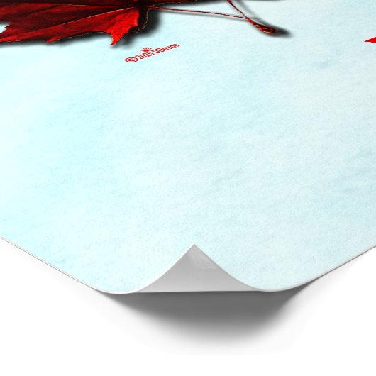 Herfst Maple Leaf Canadese vlag Poster (Hoek)