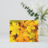 Herfst Maple Leaves met Autumn Colors Briefkaart (Staand voorkant)