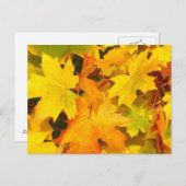 Herfst Maple Leaves met Autumn Colors Briefkaart (Voorkant / Achterkant)
