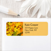 Herfst Maple Leaves met Autumn Colors Etiket (Insitu)