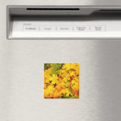 Herfst Maple Leaves met Autumn Colors Magneet (Insitu (Vaatwasser))