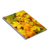 Herfst Maple Leaves met Autumn Colors Notitieboek (Rechterzijde)