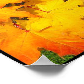Herfst Maple Leaves met Autumn Colors Poster (Hoek)
