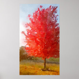 Herfst Maple Tree in volledige kleur, Waterverf Poster