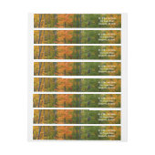 Herfst Maple Trees Autumn Natuur Fotografie (Vel)