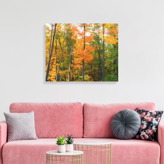 Herfst Maple Trees Autumn Natuur Fotografie Canvas Afdruk (Insitu (Woonkamer))