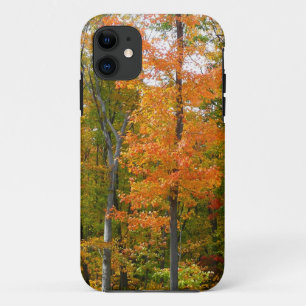 Herfst Maple Trees Autumn Natuur Fotografie iPhone 11 Hoesje