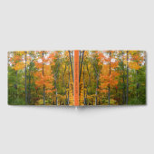 Herfst Maple Trees Autumn Natuur Fotografie Gastenboek (Volledig)