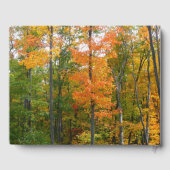 Herfst Maple Trees Autumn Natuur Fotografie Gastenboek (Achterkant)